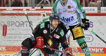 Düsseldorfer EG sucht weiter ihre Konstanz - Rheinische Post