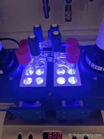 Chemists Have Developed a New Way To Produce an Important Molecular Entity