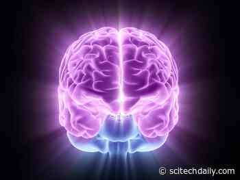 Improving Memory: New Study Finds That Moderate Stress Is Actually Good for You