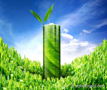 Scientists Have Developed a Living “Bio-Solar Cell” That Runs on Photosynthesis