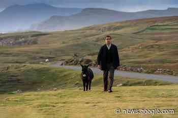 "The Banshees of Inisherin": Competing concepts of justice wage ... - Salon