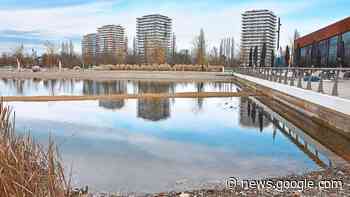 Stadt Lahr darf nicht nachpumpen: LGS-See geht langsam das ... - Schwarzwälder Bote
