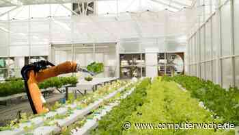 Buchtipp für Business Leader: KI-Fabriken - das steckt dahinter