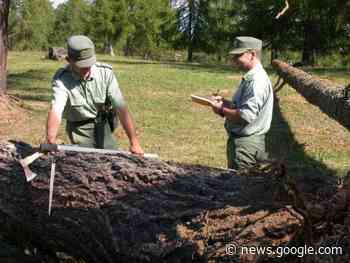 Nuovi distintivi per il Corpo forestale provinciale - La Voce di Bolzano