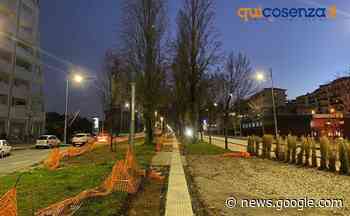 Cosenza, donna aggredita nell'androne di un palazzo su viale Parco - Quotidiano online