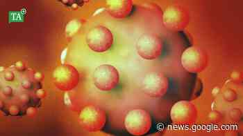 Corona: Inzidenz sinkt im Kreis Gotha weiter - Thüringer Allgemeine