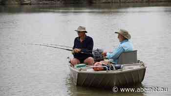 Boaties allowed back to River Murray's upper SA reaches for recreational purposes