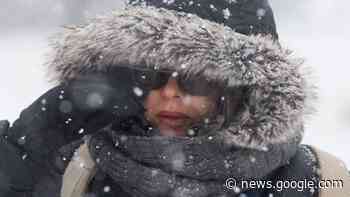 Lord Selkirk School Division cancels afternoon buses, snowfall ... - CBC.ca