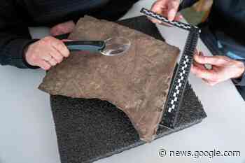 Norwegian archaeologists find 'world's oldest runestone' - Ealing Times