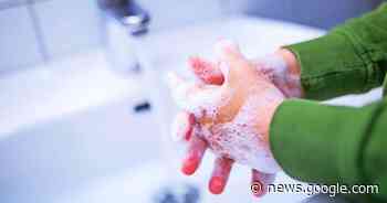 Energiesparmodelle für Grundschulen und Kindergärten in Merzig - Saarbrücker Zeitung