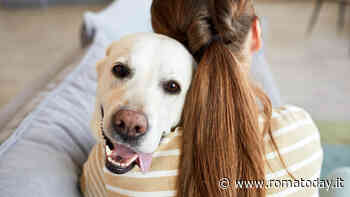 Cani e personalità del padrone: tutto quello che c’è da sapere