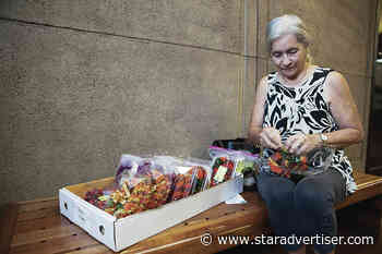 Hawaii’s 32nd Legislature begins today with more access