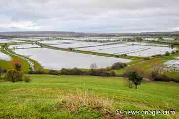Major incident declared in Somerset due to flooding fears - Chelmsford Weekly News
