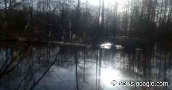 Drie wandelpaden in domein Puyenbroeck afgesloten na hevige ... - Het Laatste Nieuws