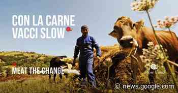 SLOW FOOD VERCELLI, GRUPPO ACQUISTO SOLIDALE E A.B.A ... - vercellioggi.it/