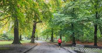 Puyenbroeck viert 'Het Feest van het Bos' - Het Laatste Nieuws