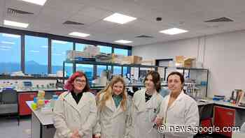 Bunclody VC students spend week in Maynooth University - Independent.ie