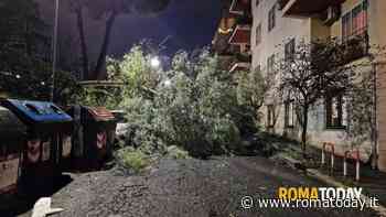 Maltempo a Roma: albero cade dal giardino di un asilo