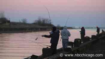 Eating 1 Fish From Great Lakes Equal to Drinking Month's Worth of Contaminated Water: Study