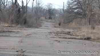 Michigan Mom and 2 Children Found Frozen to Death in a Field