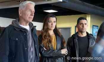 NCIS's Cote De Pablo's controversial departure from show - the real ... - HELLO!