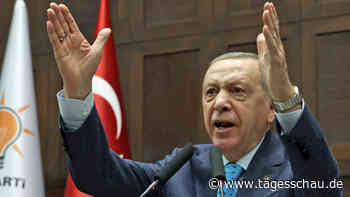 Türkei: Erdogan deutet vorgezogene Wahlen an