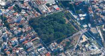 SOS Jardim América: 465 árvores estão listadas para morrer na ... - Midia Ninja