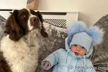 Bethany Holland thanks locals as fund-raising saves her dog's life - Irvine Times