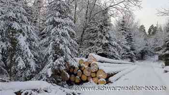 Holzpreise: Planung in Gechingen für 2023  gleicht Kaffeesatzleserei