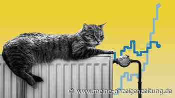 Verbrauchen wir zu viel Gas? So leer sind unsere Speicher