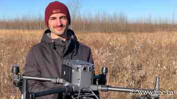 How drones and AI could help stem the spread of a plant invading Quebec parks