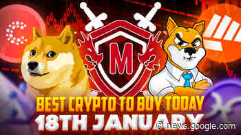 Best Crypto to Buy Today 18th January – SHIB, MEMAG, DOGE ... - Cryptonews