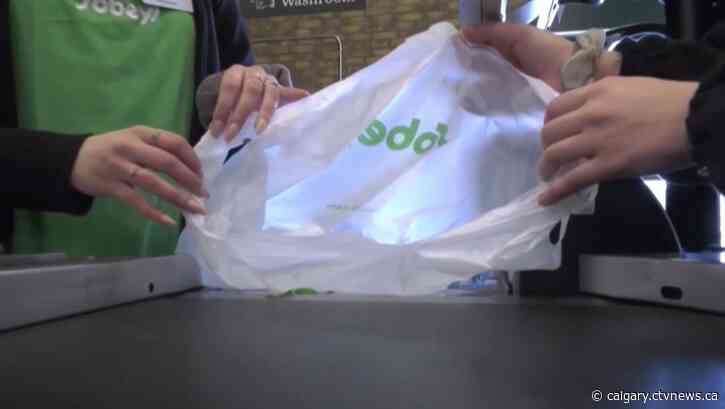 Calgary will introduce single-use plastics bylaw in 2024