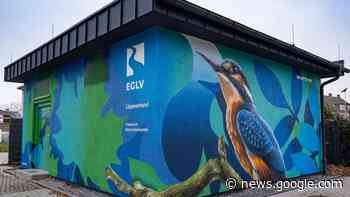 Biber, Quappe und Co.: Diese Tierarten breiten sich in Hamm aus - wa.de