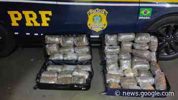 Jovem que levaria 23kg de skunk de Cascavel a São Paulo é presa ... - catve.com