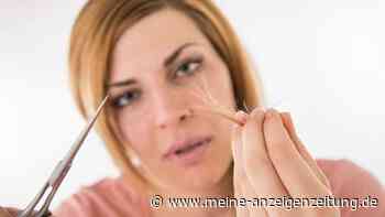 Fake-Anzeigen versprechen Geld für Haare