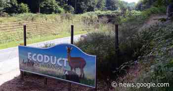 Naamsesteenweg opnieuw open na verkeersongeval | Oud ... - Het Laatste Nieuws