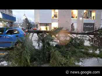 Maltempo, a Solofra si contano i danni. Ad Atripalda un grosso ramo ... - Irpinia TV