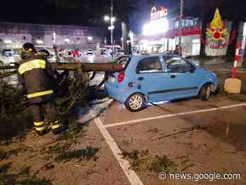 ATRIPALDA. Maltempo, albero su auto e la danneggia, per fortuna ... - Bassa Irpinia
