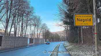 Tempo-Limit bei Nagold: 50 oder 60 – was gilt denn nun?