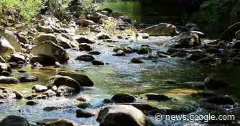 Grosseto, in parrocchia una serata sulla Val di Farma, gioiello da ... - Toscanaoggi.it