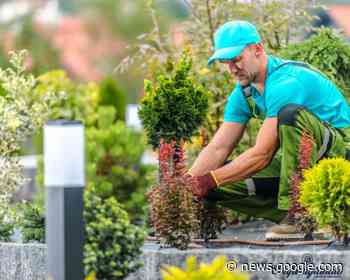 Al via corsi Formimpresa di Confartigianato Grosseto riconosciuti da ... - MaremmaNews