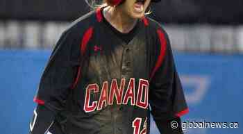 Jays hire women’s team vet Stephenson as a coach