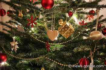 Abholung der Tannenbäume 2023 in der Gemeinde Garrel – In Garrel - In Garrel