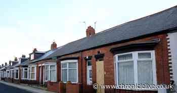 Investigation launched after suspected cannabis farm uncovered following search at Sunderland home