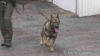 Police search for armed robbery suspect at Barrie plaza