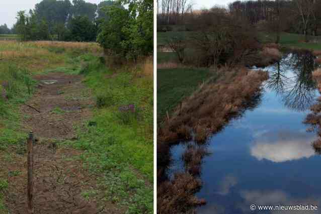 Toen en nu: vijf maanden na extreme droogte staan onze natuurgebieden helemaal onder water