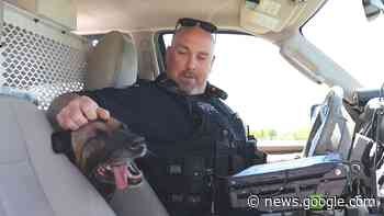 Morden's first Canine PSD Chase passes away - PembinaValleyOnline.com