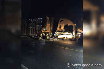 Livestock killed, driver injured in 3-vehicle collision near Revelstoke ... - Vernon Morning Star