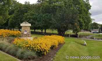 826 total deaths in Vernon-Coldstream, cancer remains leading ... - Castanet.net